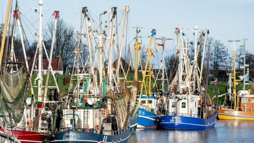 Gespräche über Zukunft: Niedersachsens Landesregierung will Fischereidialog beginnen