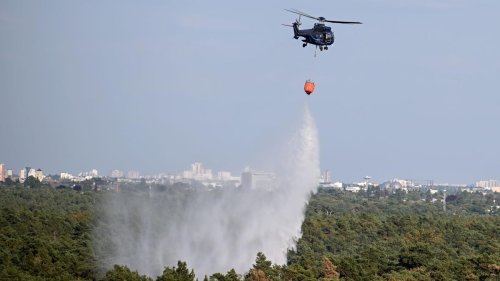 Berlin: Hubschrauber für Löscharbeiten im Grunewald