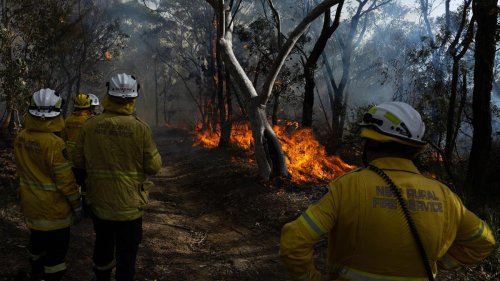 Canberra: Behörden ordnen wegen Buschbränden Evakuierungen an