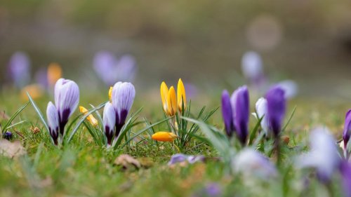 Wetter: Langsam weniger Wolken und kaum Regen in Hessen