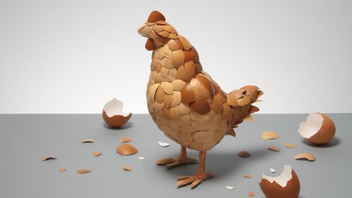 Vogelgrippe: In Schale
