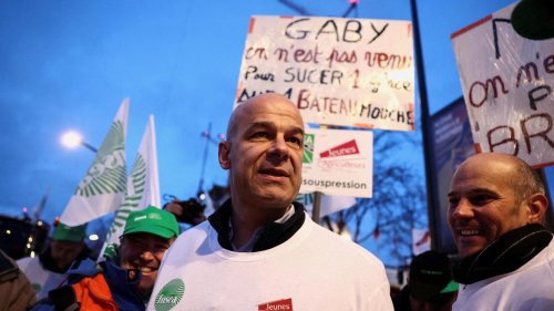 Bauernprotest: Landwirte bedrängen Emmanuel Macron mit heftigem Protest