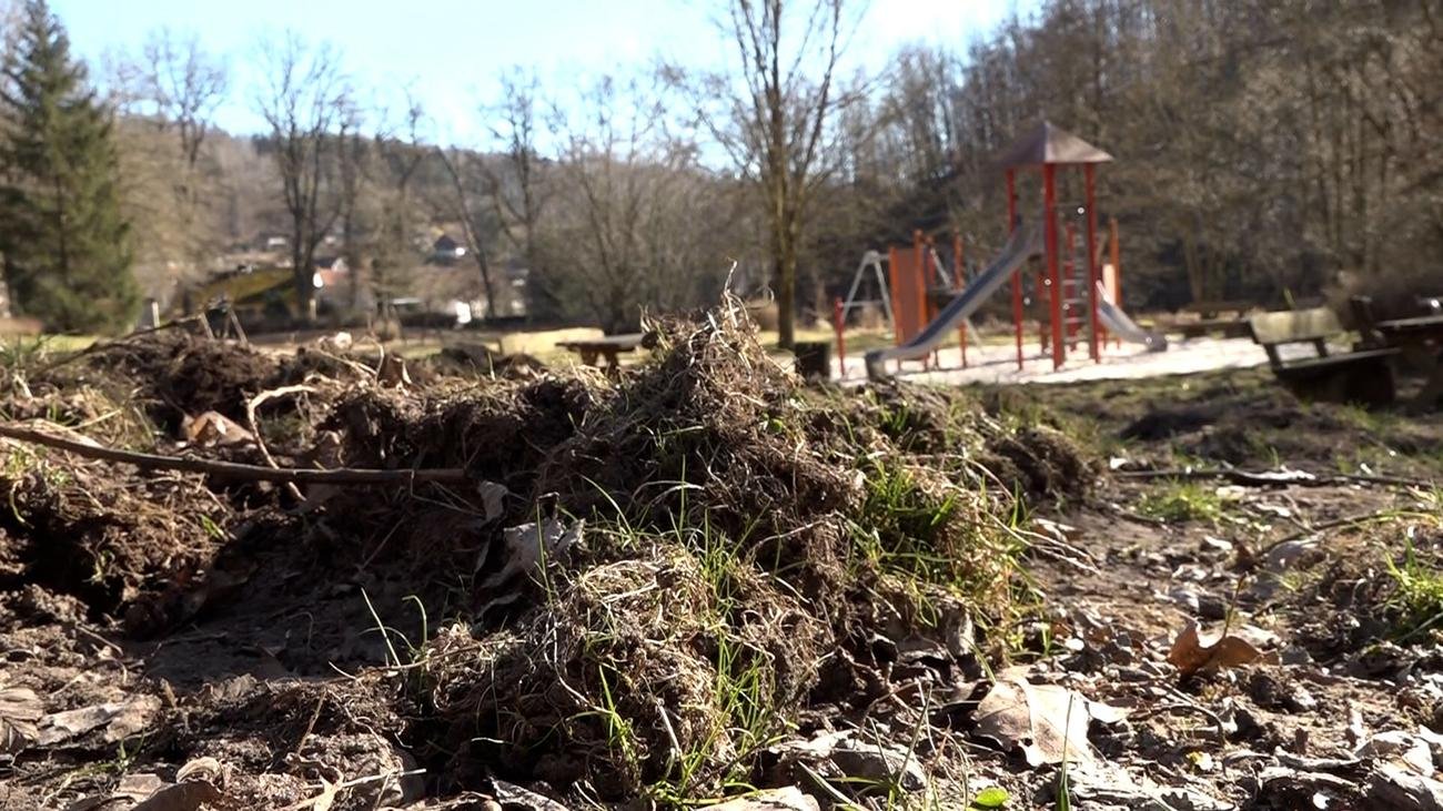 Mehrere Orte betroffen: Wildschweine sorgen für Ärger im Harz