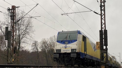 Bundespolizei ermittelt: Hobbygärtner fällen Baum – Sperrung von Bahnstrecke