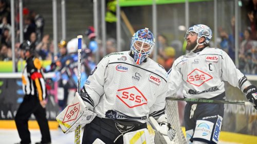 Eishockey: Standort mit Tradition: Dresdner Eislöwen bereit für die DEL