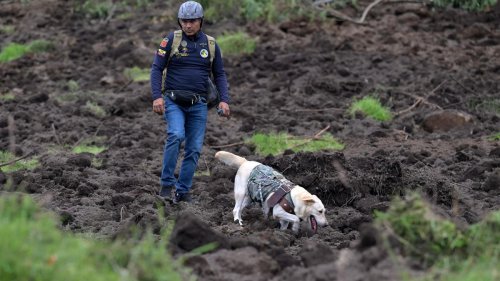 Extremwetter-Folge: Sieben Tote und viele Verletzte nach Schlammlawine in Ecuador