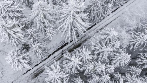 Wetter: Schnee für Sachsen-Anhalt