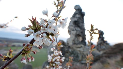 Wetter: Wolken, Wind und Schauer in Sachsen-Anhalt