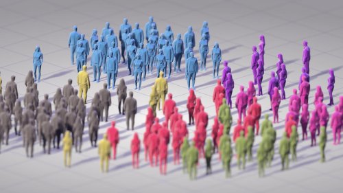 Polarisierung: Die Muster der Spaltung