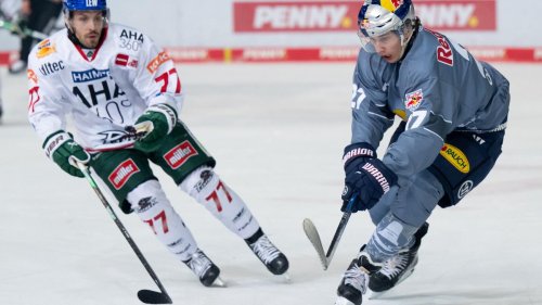Deutsche Eishockey Liga: Augsburger Panther auch künftig mit Tosto und Renner