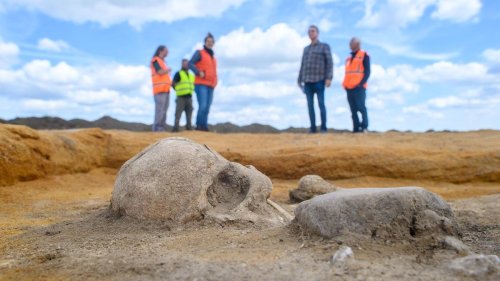 Archäologie: Opferdarbietung aus der späten Bronzezeit gefunden