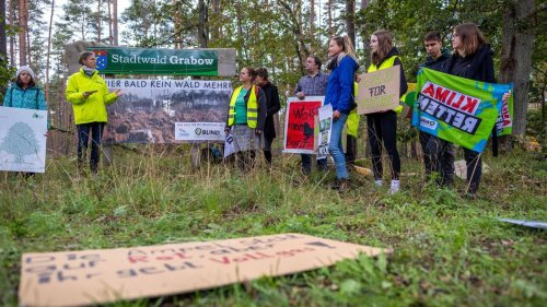 Umweltschutz: BUND hält Grabower Gewerbepark an der A14 für überflüssig
