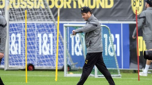 Fußball: BVB empfängt AC Mailand in der Champions League