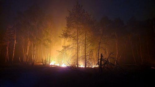 Brände: Feuer bei Jüterbog: "Aktuell brennen acht Hektar Wald"