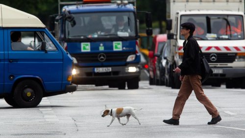 Elbvertiefung: Der tägliche Newsletter aus Hamburg: Vorbild Paris: Was Hamburgerinnen über die Parkplatzkürzungen denken