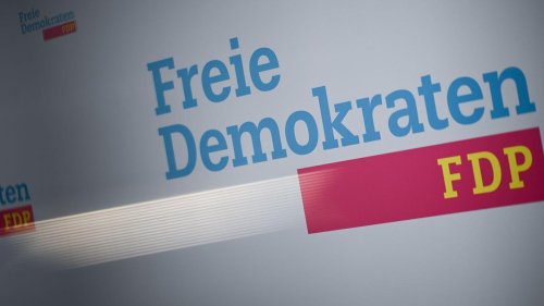Krise der FDP: Liberales Rumoren - Wer wird neuer Landeschef?