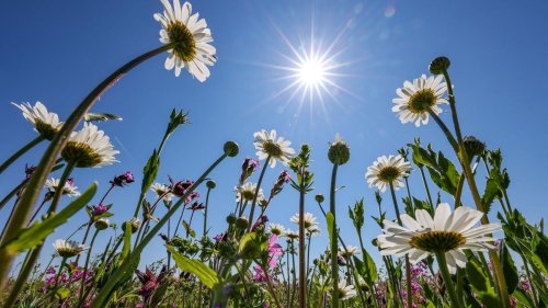 Wetter: DWD: Sachsen startet mit viel Sonne in die neue Woche
