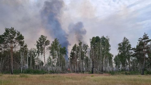 Trockenheit und Hitze: Neuer Waldbrand in Brandenburg ausgebrochen: Bei Jüterbog
