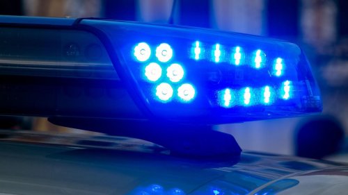 Schafe gerissen: Hund reißt zwei Schafe - sein Besitzer flüchtet