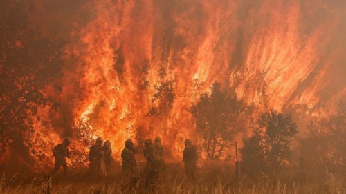 Spanien: Waldbrände in Valencia nehmen wieder zu