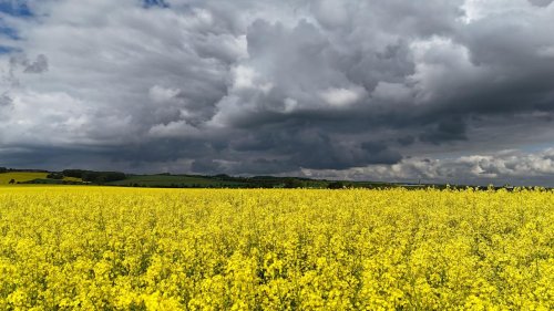 Wetter: Regen und Wind statt Sonne