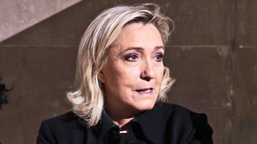 Frankreich: Le Pen fordert Distanzierung der AfD von Idee der "Remigration"