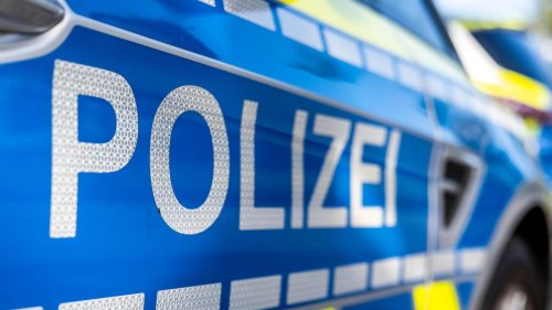 Mecklenburgische Seenplatte: Polizisten holen verirrte Pilzsammler aus Nationalpark