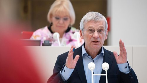 "gesichert rechtsextremistisch": Verfassungsschutz hebt Einstufung von Brandenburger AfD vorerst auf