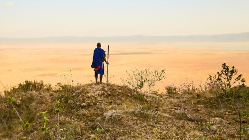 Maasai und der Serengeti Nationalpark: Sie wollen hier nicht weg