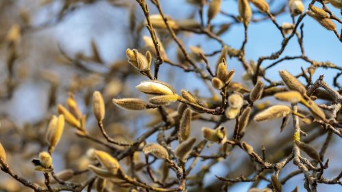 Wetter: Es wird sonniger und wärmer in Hessen