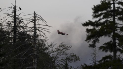 Kanada: Mehr als 11.000 Menschen wegen Waldbränden zur Flucht aufgerufen
