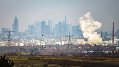 Umweltbewegung: "Vor allem Sinti und Roma erfahren in Deutschland Umweltrassismus"