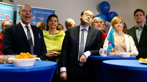 Parteien: AfD-Schiedsgericht bestätigt Petersens Parteiausschluss