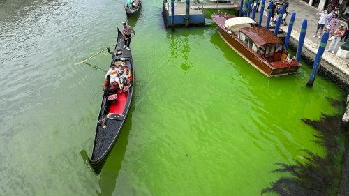 Venedig: Canale Grande leuchtet grün – Umweltbehörde untersucht Proben