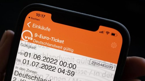 Verkehr: FDP: Regierung soll 9-Euro-Ticket im Bundesrat zustimmen