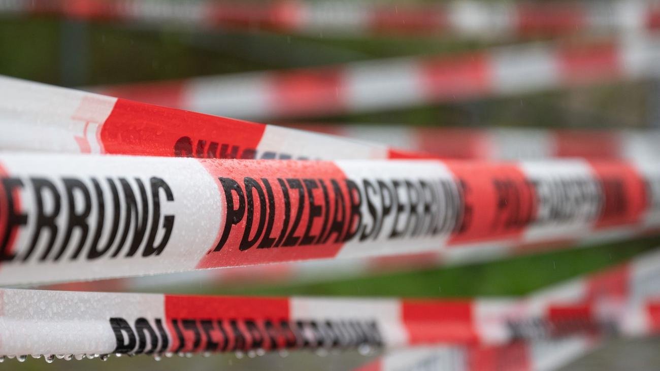 Weltkriegsbombe: Bombenfund: Sprengung am Donnerstag - Tierpark betroffen