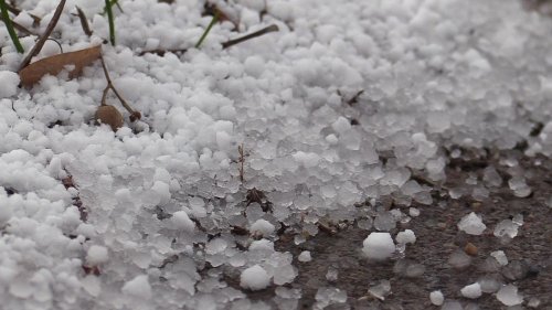 Deutscher Wetterdienst: Schnee- und Regenschauer in Hamburg und Schleswig-Holstein