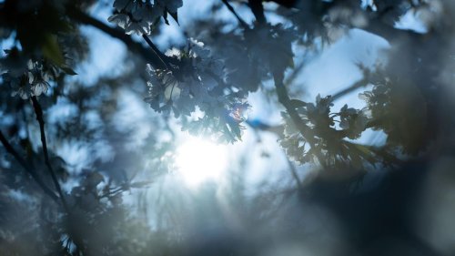 Wetter: Bis 26 Grad: Viel Sonne in Rheinland-Pfalz und im Saarland