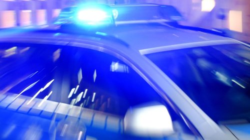 Ludwigslust-Parchim: Betrunkene ruft Polizei nach Wildunfall: Führerschein weg
