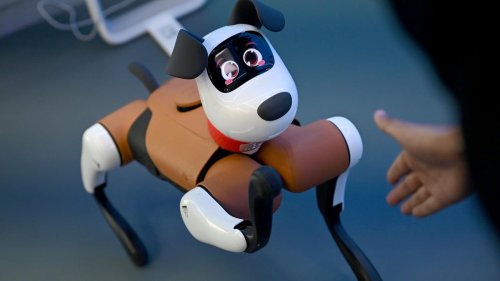 Zukunftstechnologie: Vom Labor in die Realität: Wo China Roboter einsetzen will
