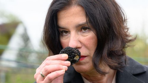 Lebensmittel und mehr: Pilz mit Potenzial: Nischen-Segment in der Landwirtschaft