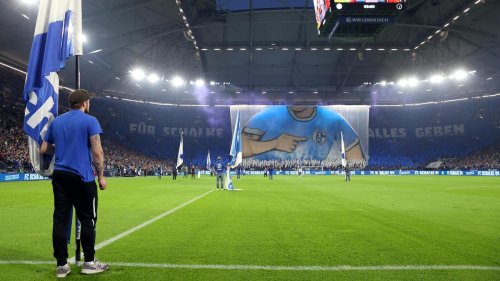 Schalke 04: "Wir sollten mehr Geld bekommen"