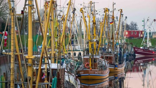 Fischerei: Küstenfischer beraten über Zukunftsperspektiven