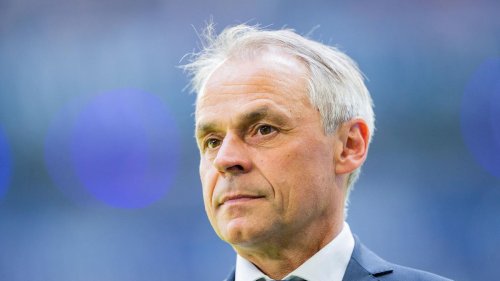 Ex-Fußballprofi: Thon: Schalke muss nach Aufstieg "kleine Brötchen backen"