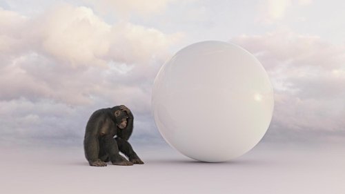 Theorie des Universums: Newton als Affe