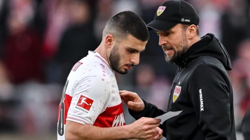 Bundesliga: Hoeneß verpasst VfB-Training - Undav und Nübel dabei