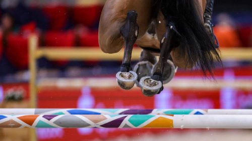 Pferdesport: Hamburgerin Kröncke gewinnt Dressur-Derby zum zweiten Mal
