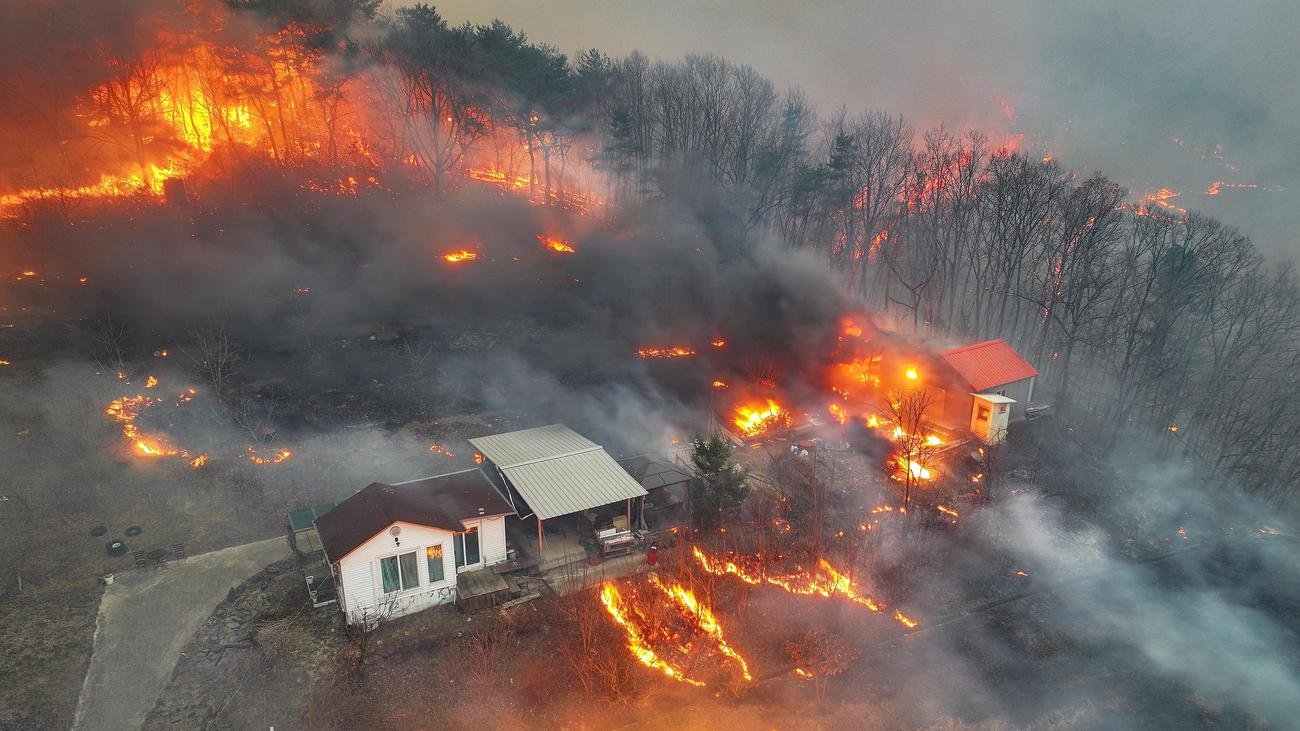 Südkorea: Tote und Verletzte nach Waldbränden in Südkorea
