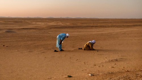Algerische Sahara: Durch den Sand der Meere
