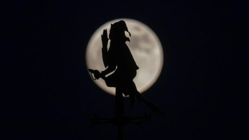 Fotografie: Bilder des Tages